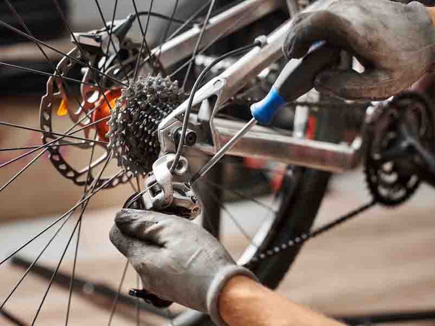 Bicycle Repairs - Bigstock CroppeD Shot Of Male Mechanic  289810462
